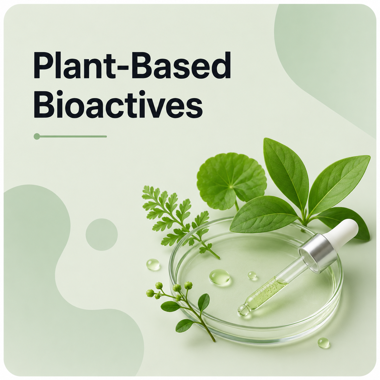 Plant-Based Bioactives