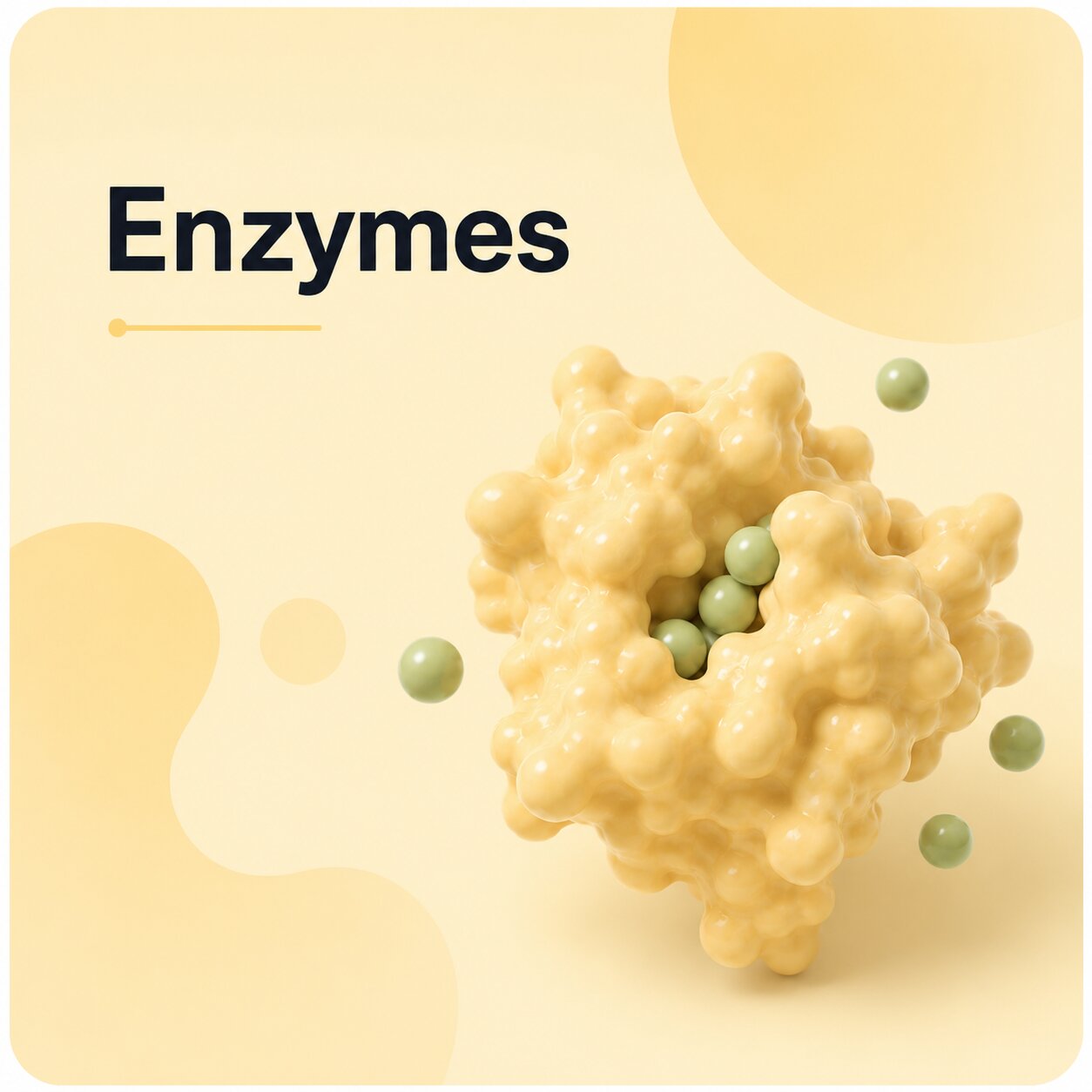 Enzymes