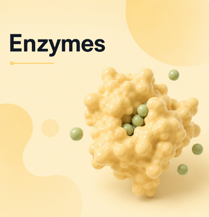 Enzymes