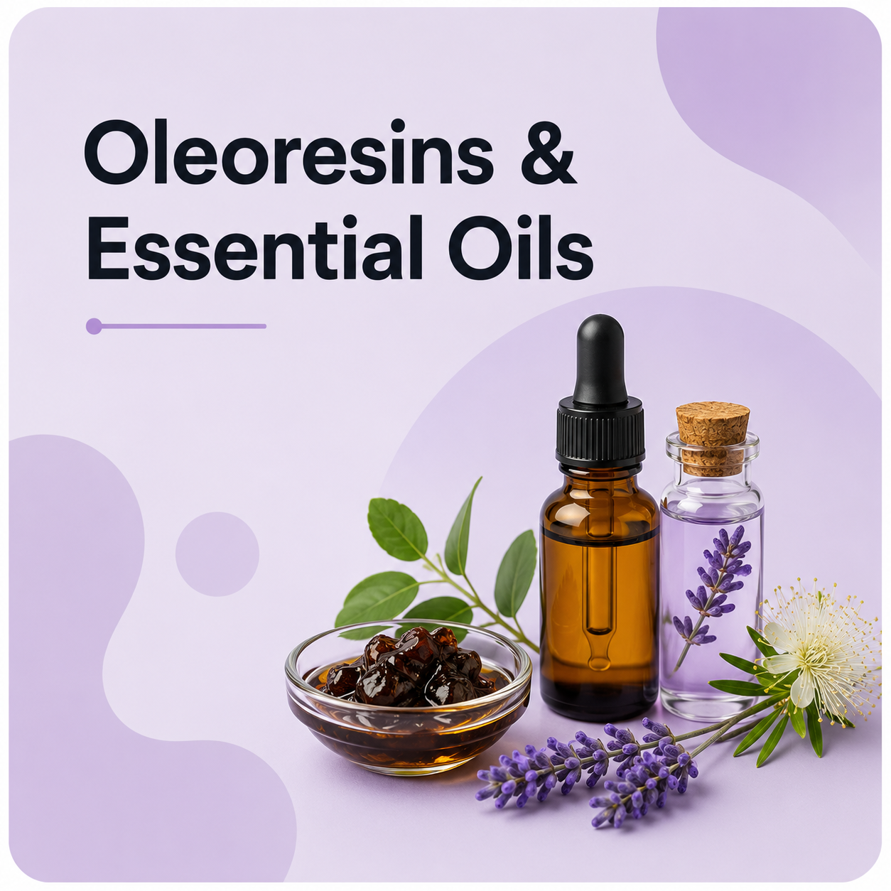 Oleoresins & Essential Oils